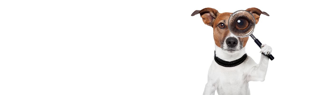 Banner background