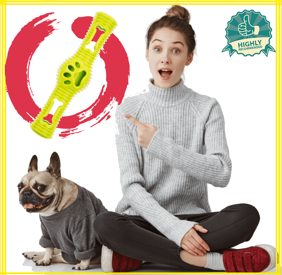 Zabawka na przysmaki dla psa Dental - Droll Twig Bone