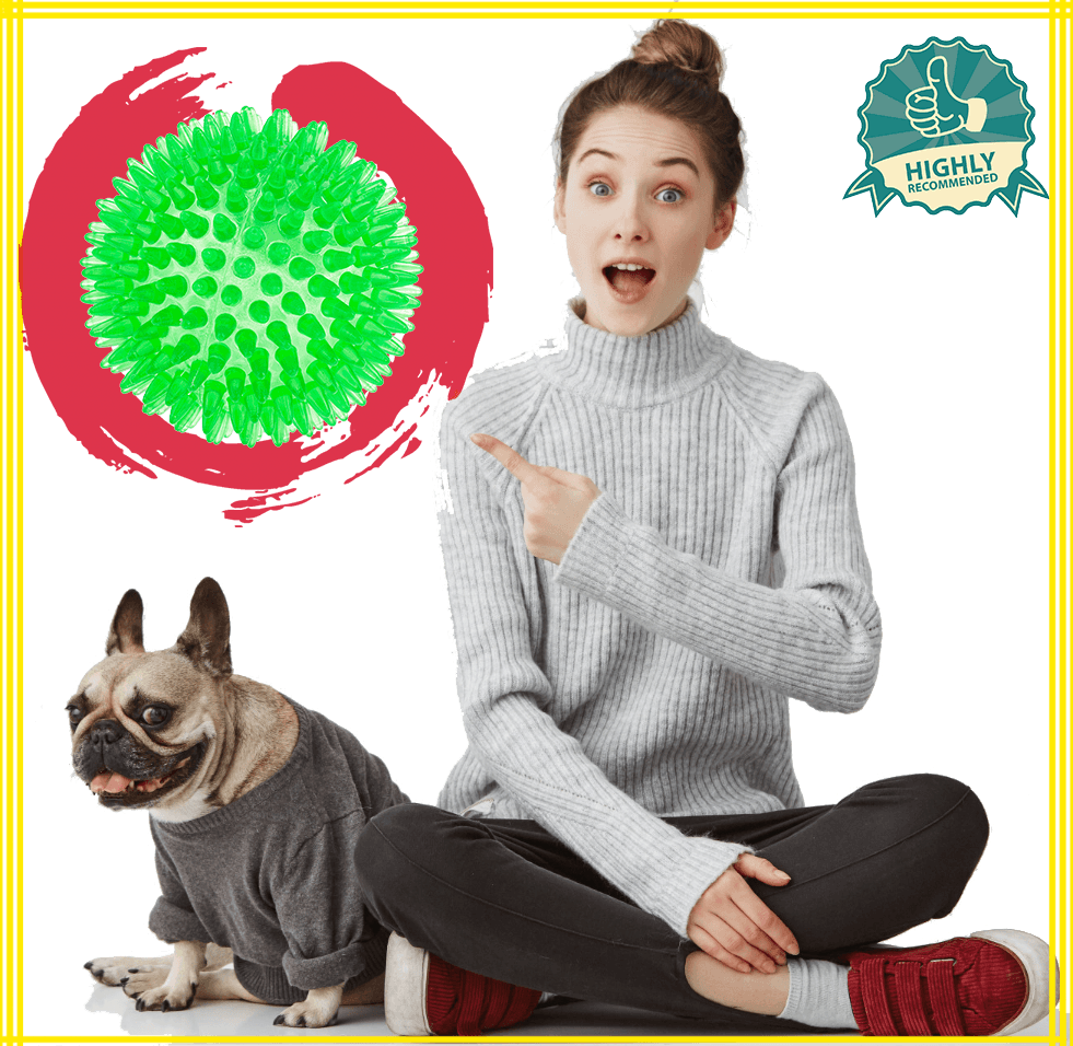 Piszcząca Piłka z wypustkami DENTAL - Zabawka piłeczka dla psa