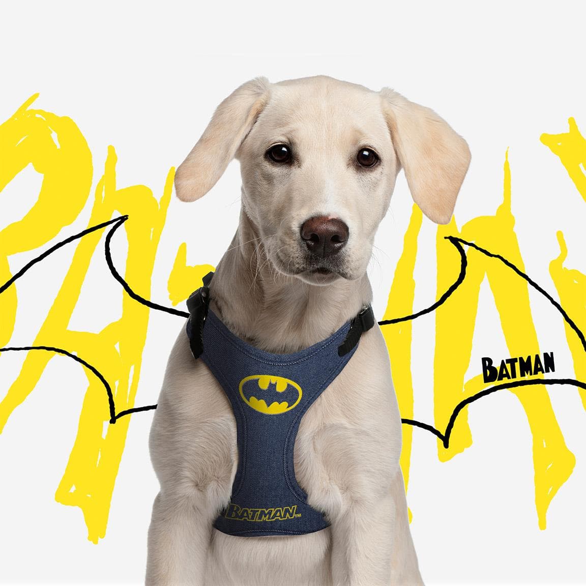 Szelki Soft Batman - wygodne i stylowe szelki dla psa